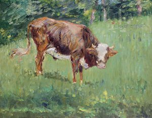 Jonge stier in een weide, 1881